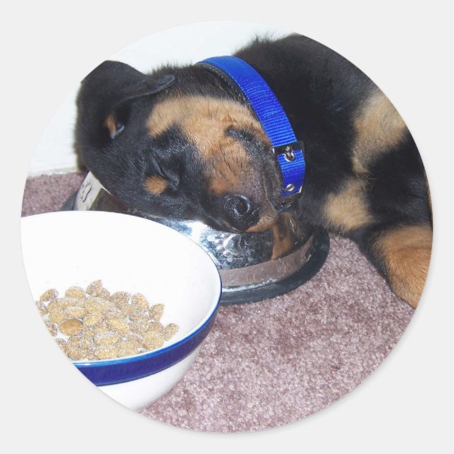 Pegatina Redonda rottweiler dorsal (Anverso)