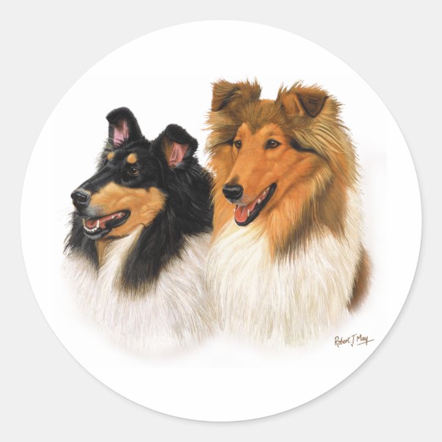 Pegatina Redonda Rough Collie (Anverso)