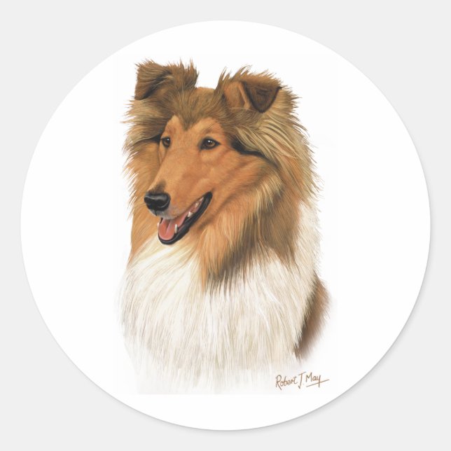 Pegatina Redonda Rough Collie (Anverso)