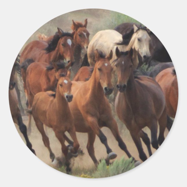 Pegatina Redonda Roundup de caballos salvajes (Anverso)
