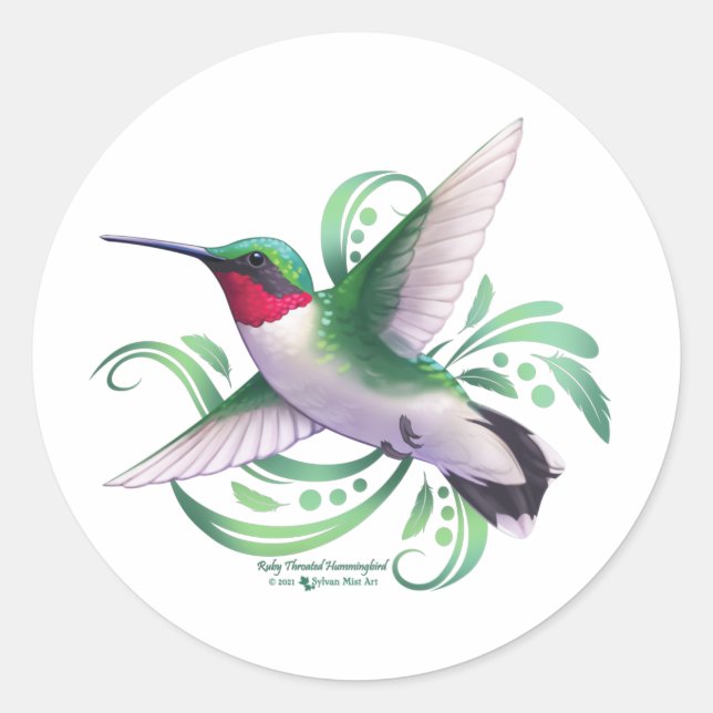 Pegatina Redonda Ruby Throed Hummingbird (Anverso)