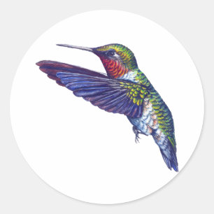 Pegatina Redonda Ruby Throed Hummingbird