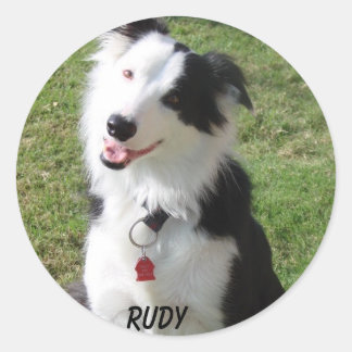 PEGATINA REDONDA RUDY