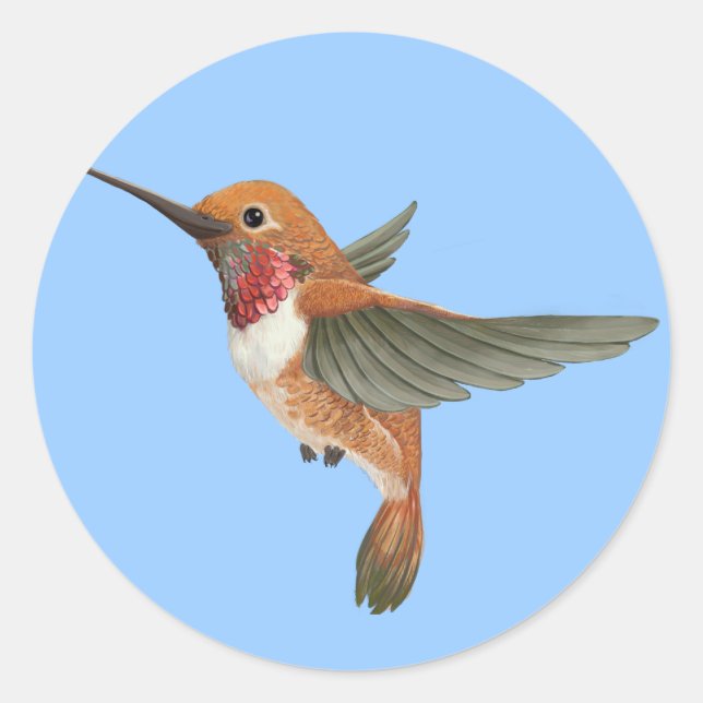 Pegatina Redonda Rufous Hummingbird (Anverso)