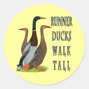 Pegatina Redonda Runner Ducks Walk Tall