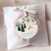 Rústico Winter Woodland Baby Shower