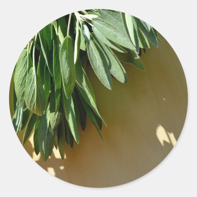 Pegatina Redonda Sabio recién cortado (Anverso)