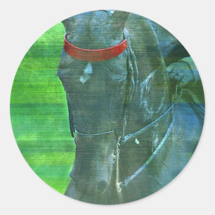 Pegatina Redonda Saddlebred estadounidense