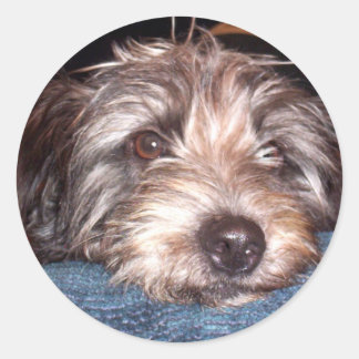 Pegatina Redonda Sadie