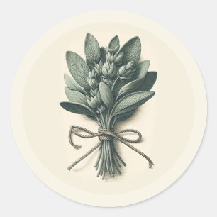 Pegatina Redonda Sage Bunch Vintage Planta Botánica Apothecary