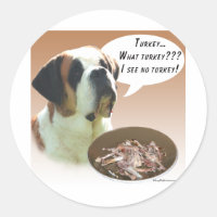 Saint Bernard (suave) Turquía