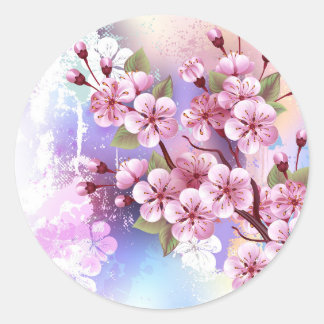 Pegatina Redonda Sakura rosa sobre fondo de pintura