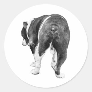 Pegatina Redonda Salida lúgubre, sombreado de invierno con plumas