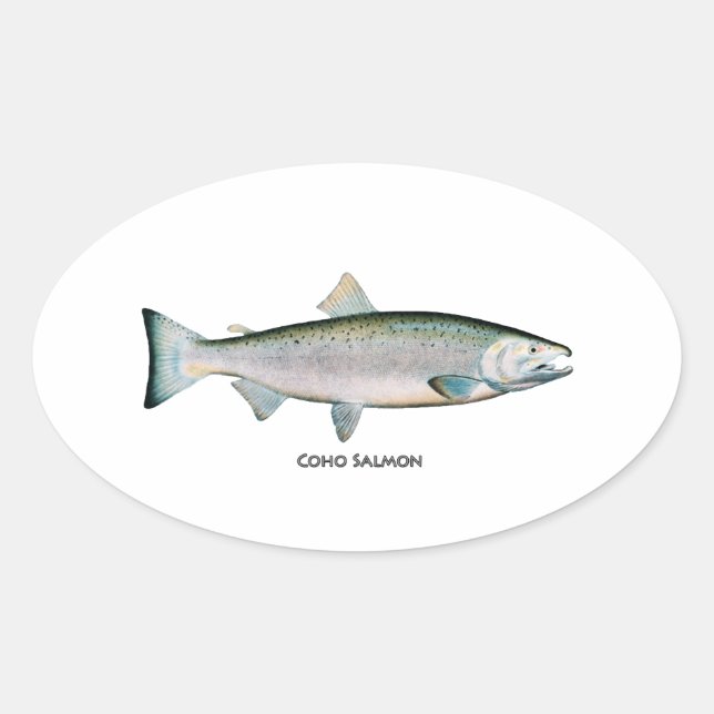 Pegatina Redonda Salmón plateado (fase oceánica) (Anverso)