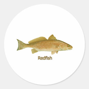 Pegatina Redonda Salmones (titulados)