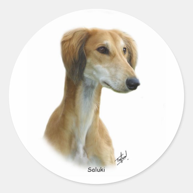 Pegatina Redonda Saluki (Anverso)
