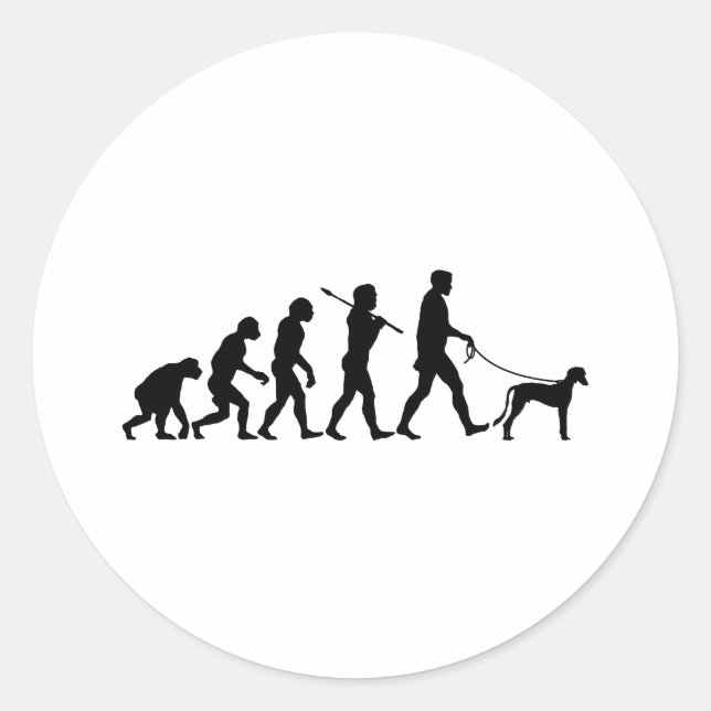 Pegatina Redonda Saluki (Anverso)