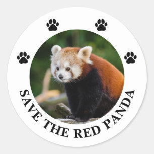 Pegatina Redonda Salva al Panda Rojo