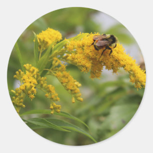 Pegatina Redonda Salvar a las abejas