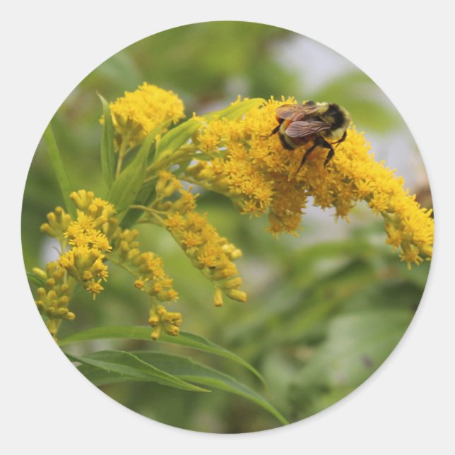 Pegatina Redonda Salvar a las abejas (Anverso)