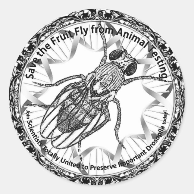 Pegatina Redonda Salven la mosca de la fruta (Anverso)