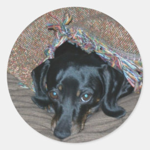 Pegatina Redonda Sammi bajo tiempo