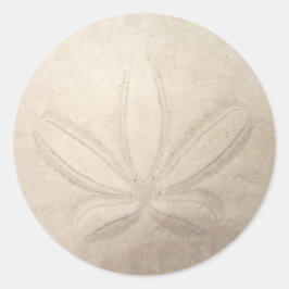 Pegatina Redonda Sand Dollar Round Sticker