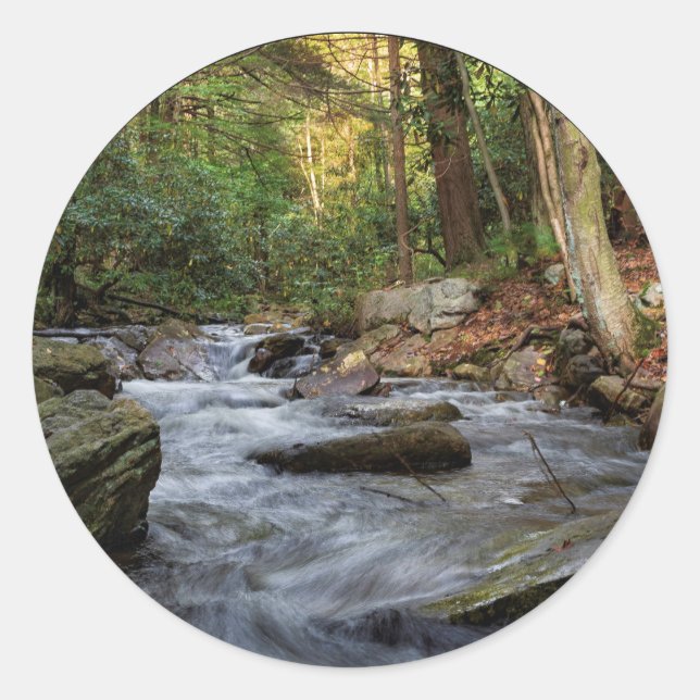 Pegatina Redonda Sand Spring Run, Hickory Run State Park (Anverso)