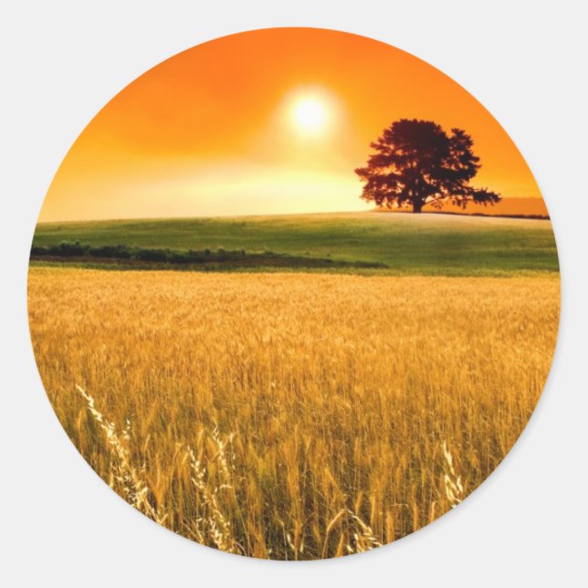 Pegatina Redonda Sangre-Red Sunset (Anverso)