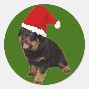 Pegatina Redonda Santa Bebé