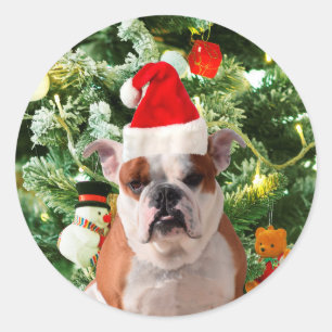 Pegatina Redonda Santa Hat Bulldog Árbol de Navidad Snowman Gift Bo