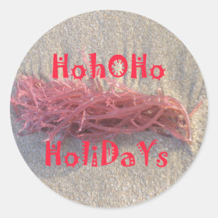Pegatina Redonda Santa HoHoHo Feliz Navidad desde los colores de la