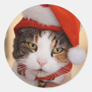 Pegatina Redonda Santa Kitty Navidades enganchan al gato