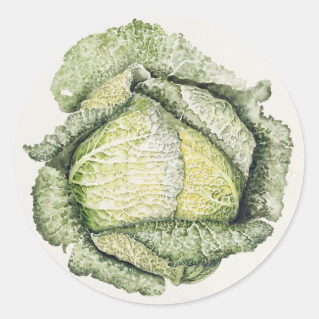 Pegatina Redonda Savoy Cabbage (Anverso)
