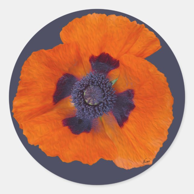 Pegatina Redonda Scarlet Naranja Poppy 1 (Anverso)