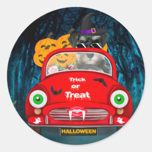 Pegatina Redonda schnauzer Dog Drin Car Scary Halloween