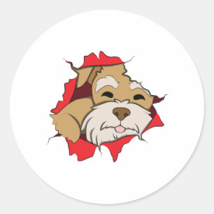 Pegatina Redonda Schnauzer en miniatura