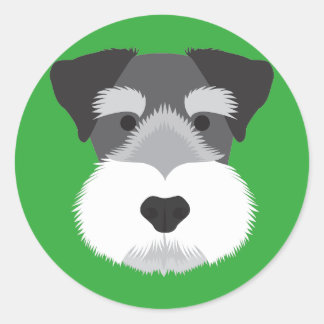Pegatina Redonda Schnauzer en miniatura