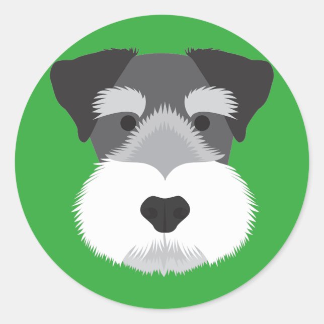 Pegatina Redonda Schnauzer en miniatura (Anverso)