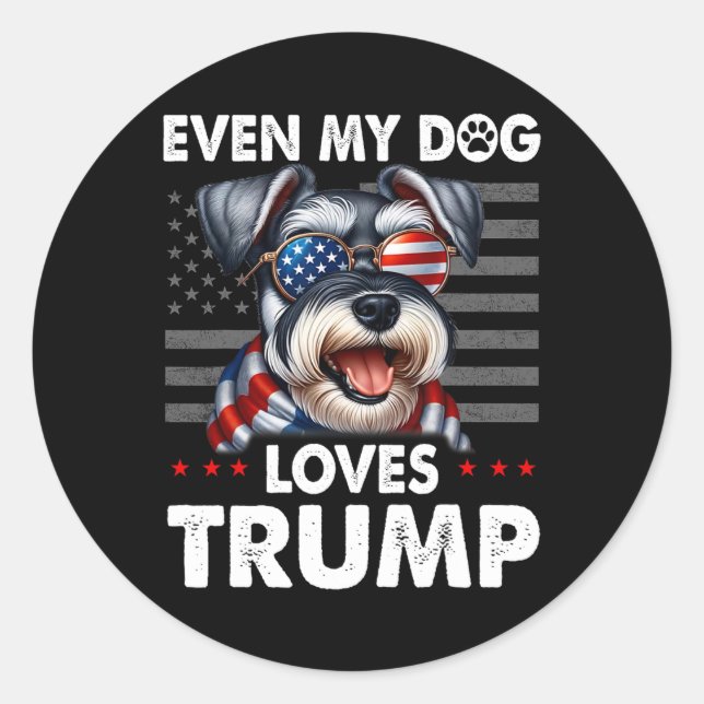 Pegatina Redonda Schnauzer, incluso mi perro ama a Trump gracioso (Anverso)
