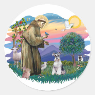 Pegatina Redonda Schnauzer (natural nº 2)