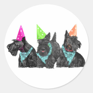 Pegatina Redonda Scotties de celebración con sombreros de fiesta