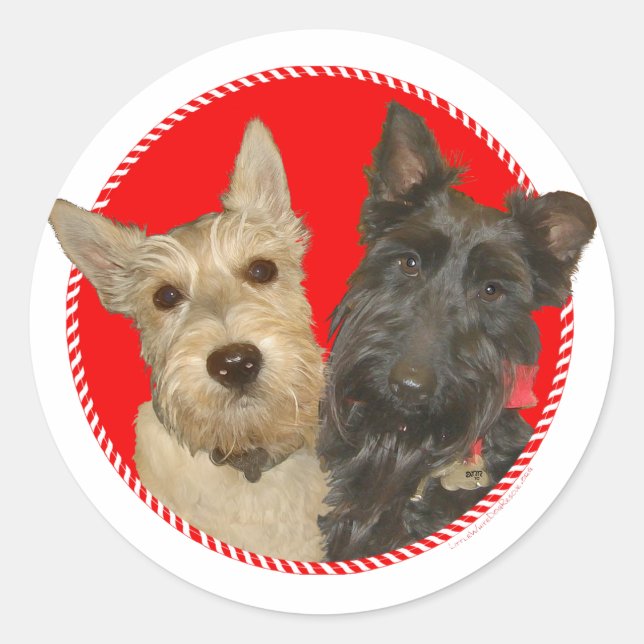 Pegatina Redonda Scotties Trigueños y Negros de Navidad (Anverso)
