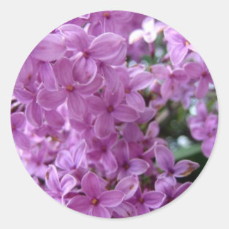 Pegatina Redonda Sdlilac