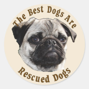 Pegatina Redonda Se Rescatan Los Mejores Perros (Pug)