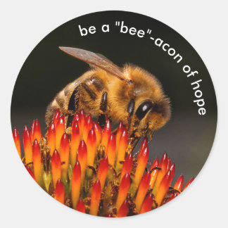 Pegatina Redonda Sé un abejorro de esperanza en Echinacea