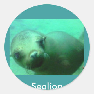Pegatina Redonda Sealion