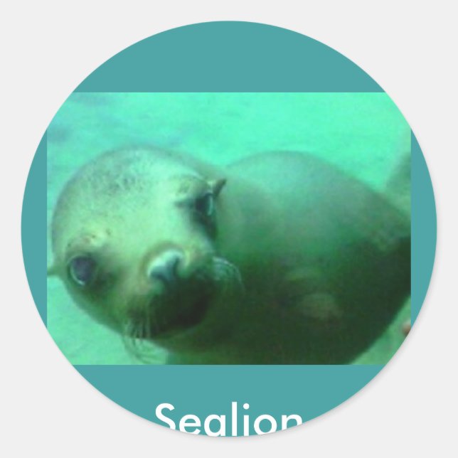 Pegatina Redonda Sealion (Anverso)