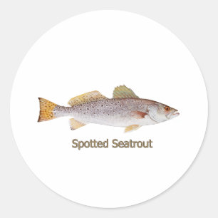 Pegatina Redonda Seatrout localizada (con título)