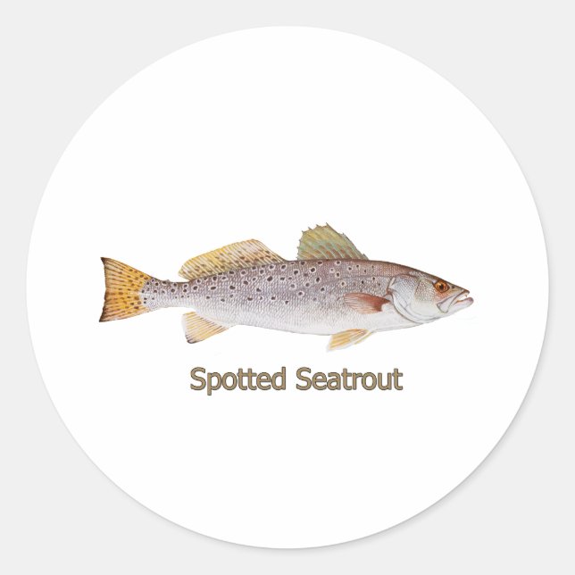 Pegatina Redonda Seatrout localizada (con título) (Anverso)